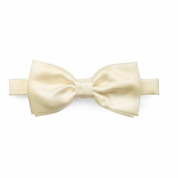 Метелик TSAT004